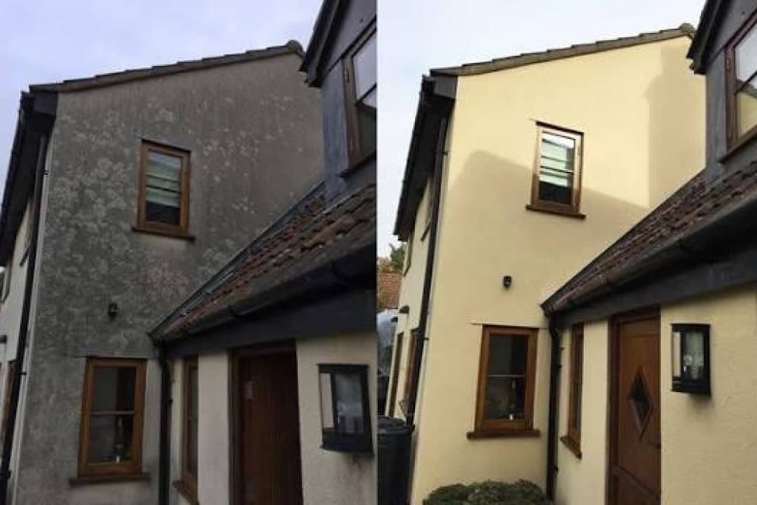 Algae-covered render on a house beside the same wall soft-washed clean